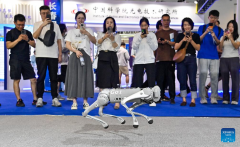 2024 Changchun Int'l Optoelectronic Expo held in NE China