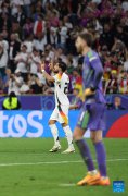 Host Germany cruises to victory over Scotland in EURO 2024 curtainraiser