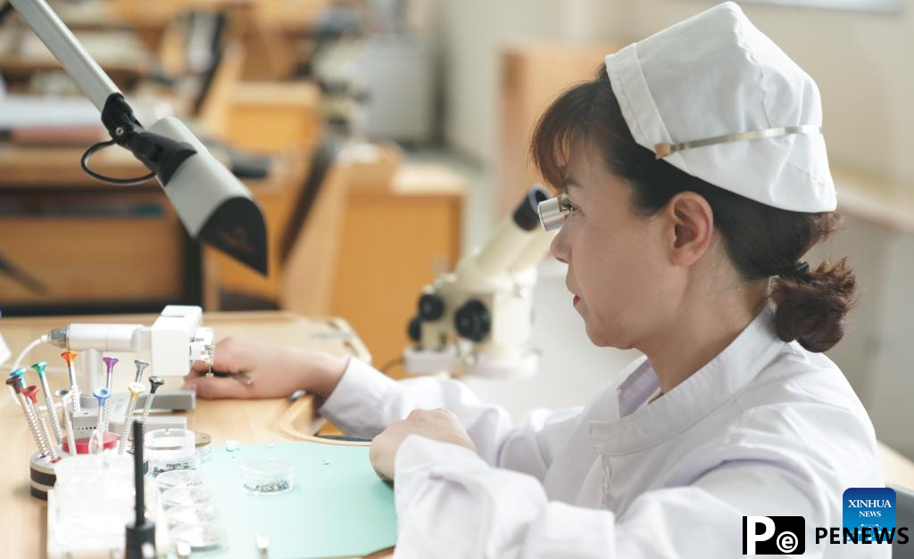 NE China upgrades traditional industries, develops high-tech manufacturing
