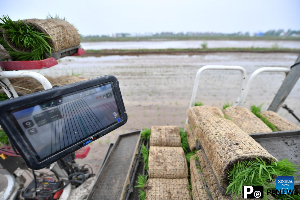 Green rice planting and smart farming propel agricultural development in China
