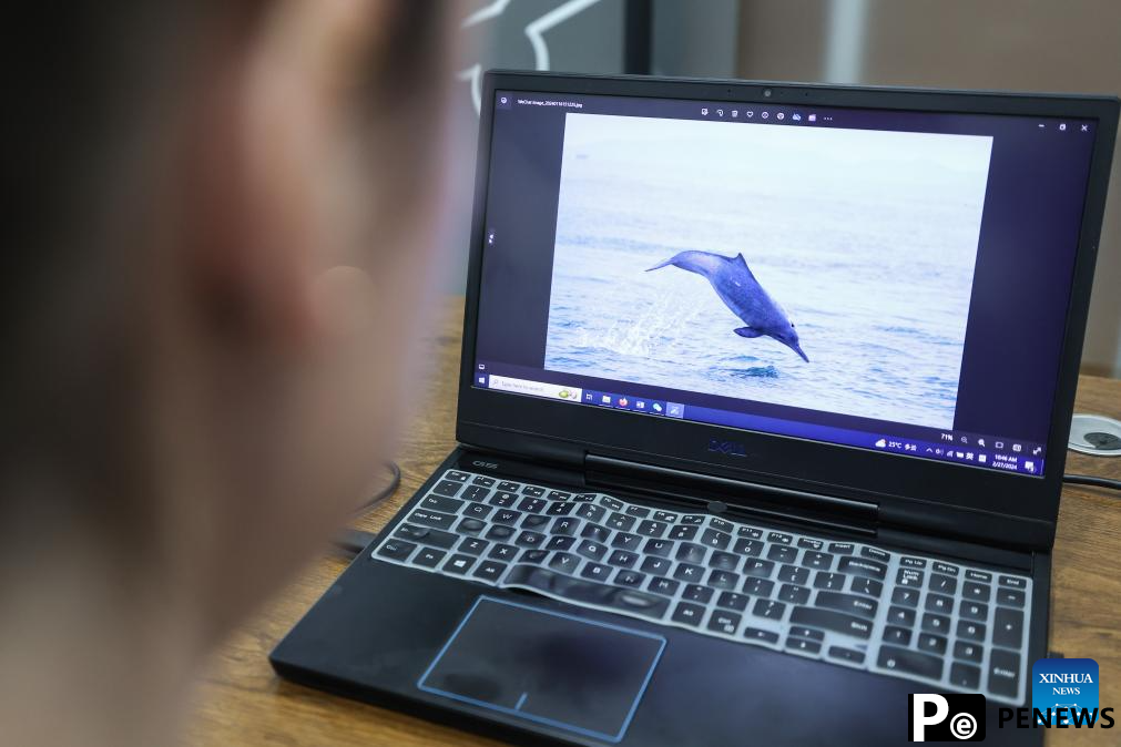 Pic story: deep bond between French scientist and Chinese white dolphins