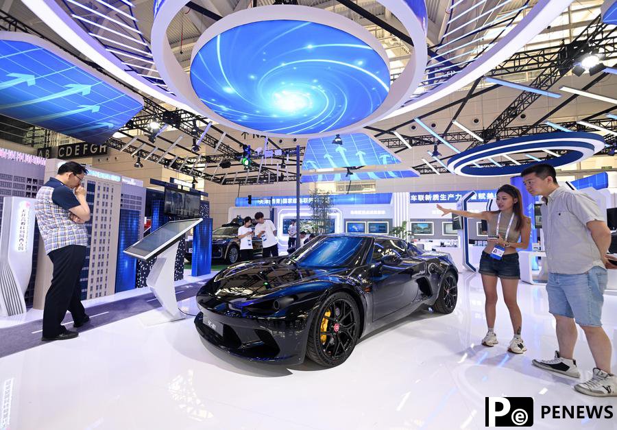 Intelligent connected NEVs showcased in 2024 World Intelligence Expo