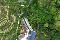 Tea industry goes digital, eco-friendly in east China