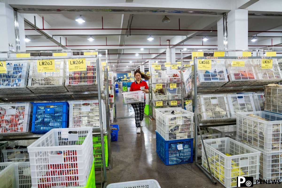618 shopping gala stimulates consumption