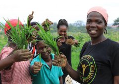 African agriculture thrives with Chinese technology, market access