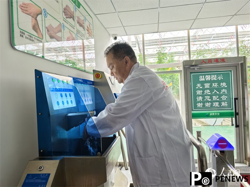 Digital technologies facilitate cherry tomato production in NW China