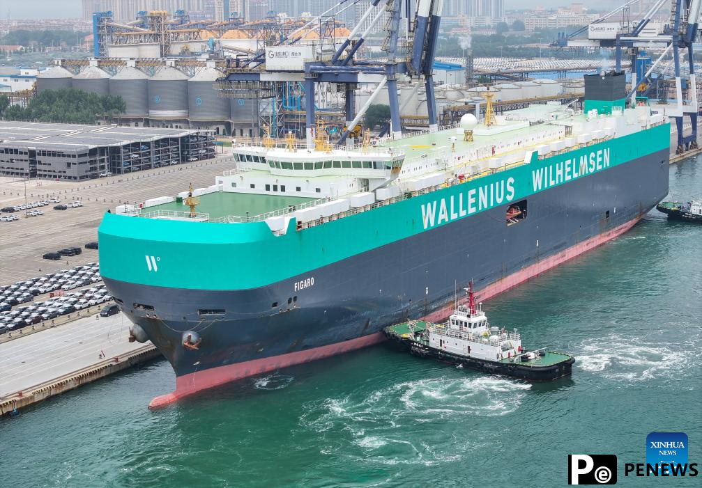 Yantai Port steps up efforts in building logistic hub for commodity vehicles in E China