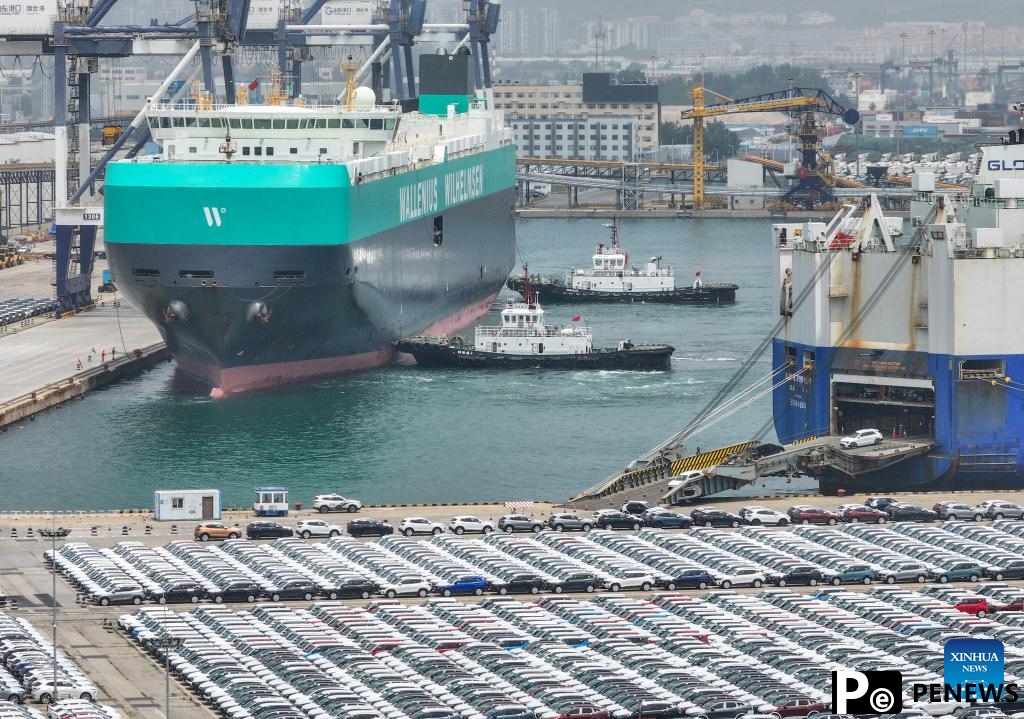 Yantai Port steps up efforts in building logistic hub for commodity vehicles in E China