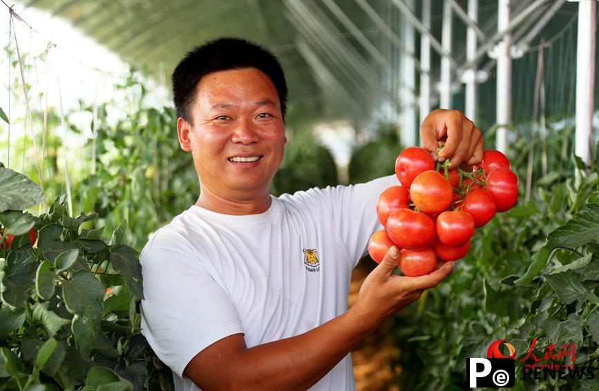 Vegetable industry brings wealth to farmers in C China