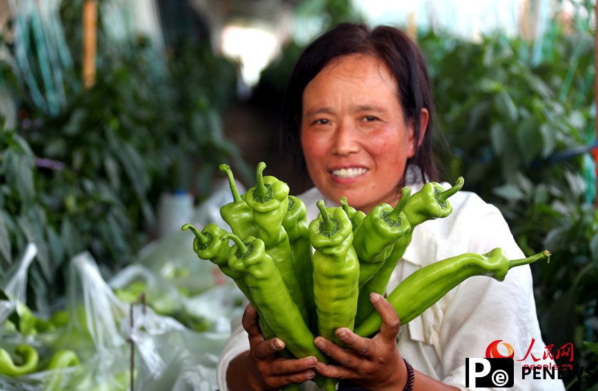 Vegetable industry brings wealth to farmers in C China