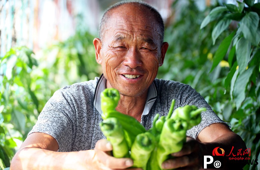 Vegetable industry brings wealth to farmers in C China