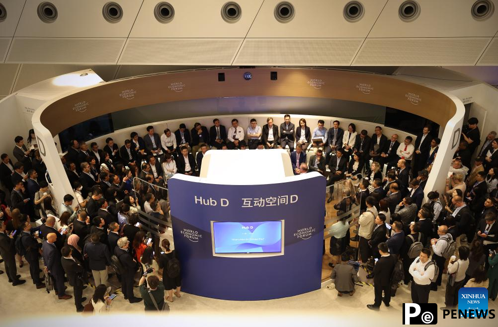 Participants interact during Summer Davos