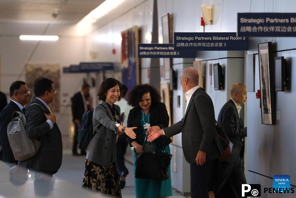 Participants interact during Summer Davos