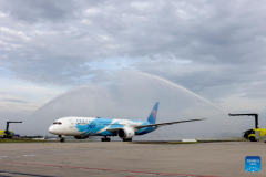 Direct passenger flight connects China's Guangzhou with Budapest