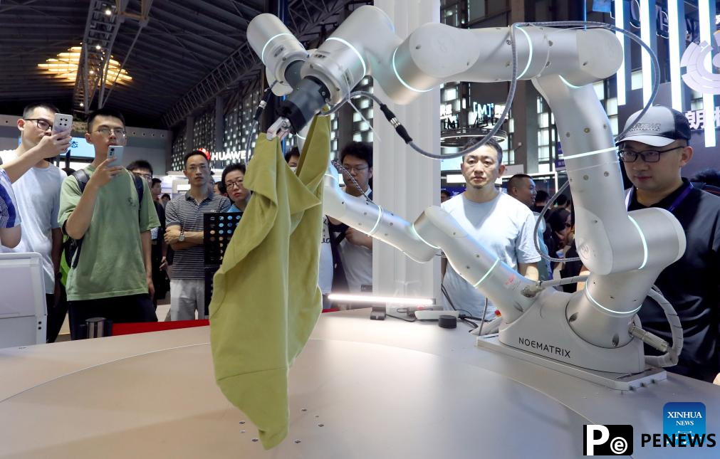 AI-powered robots showcased during 2024 World AI Conference in Shanghai