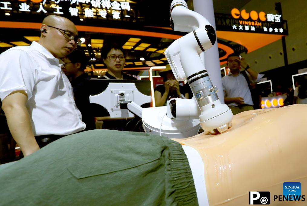 AI-powered robots showcased during 2024 World AI Conference in Shanghai