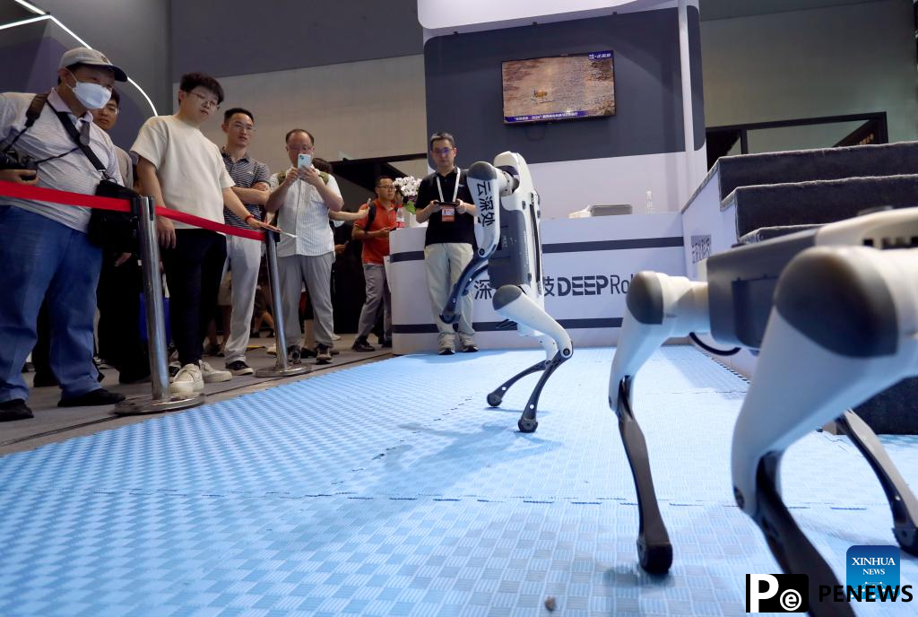 AI-powered robots showcased during 2024 World AI Conference in Shanghai