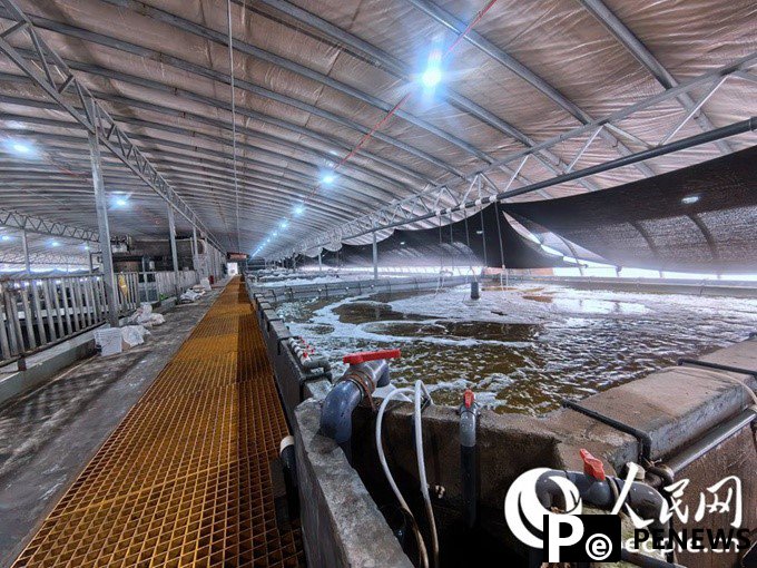 Inland seafood farming thrives in Zhangye, NW China
