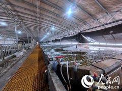 Inland seafood farming thrives in Zhangye, NW China's Gansu Province