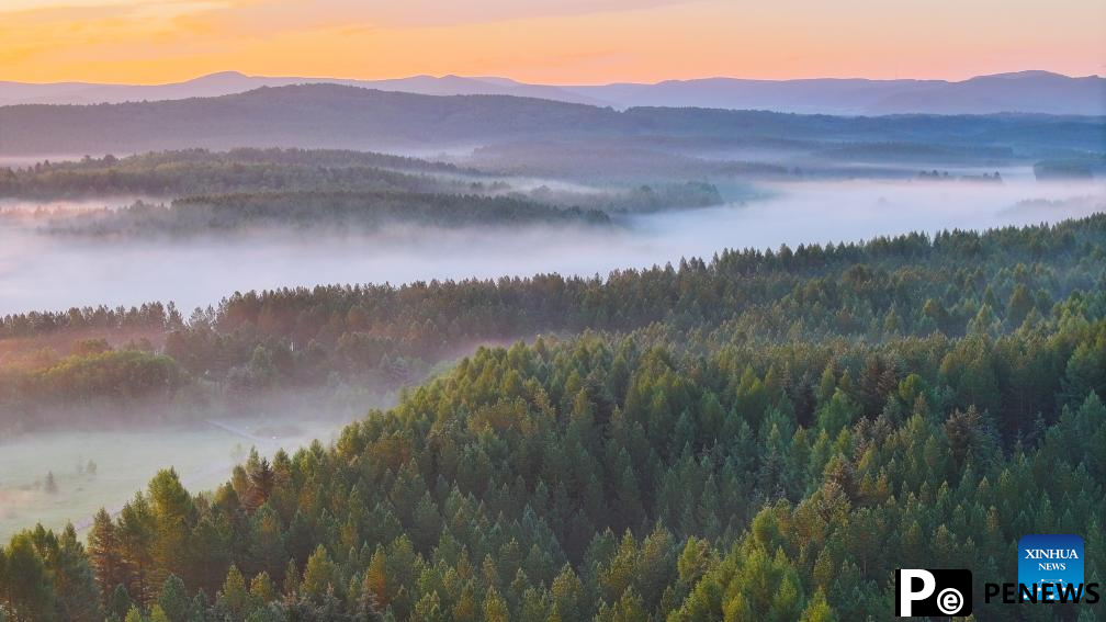 Scenery of Saihanba National Forest Park in Chengde, N China