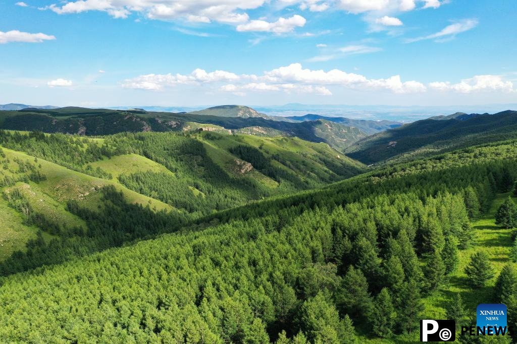 Scenery of Daqingshan National Nature Reserve in Hohhot, N China