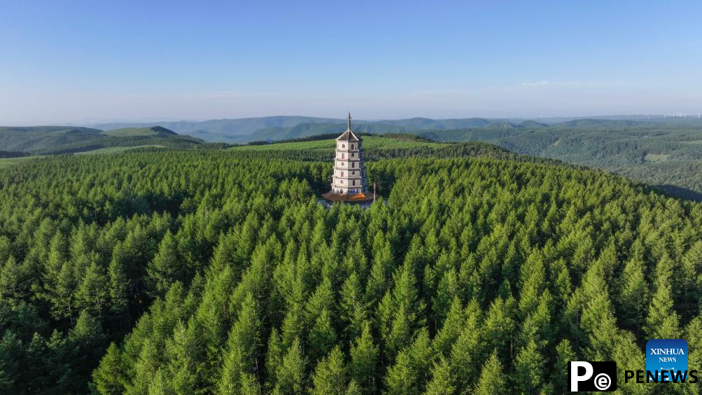 Scenery of Saihanba National Forest Park in Chengde, N China
