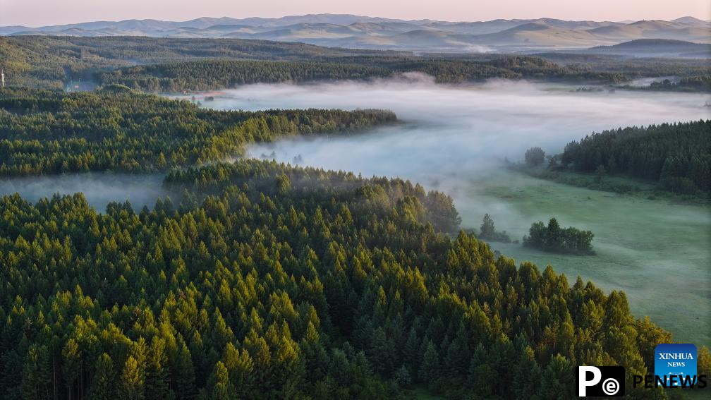Scenery of Saihanba National Forest Park in Chengde, N China