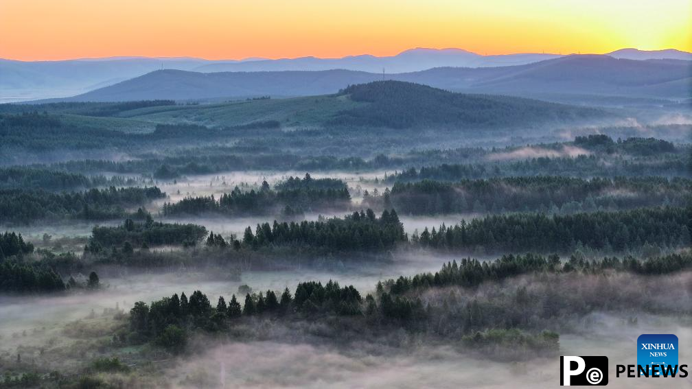 Scenery of Saihanba National Forest Park in Chengde, N China
