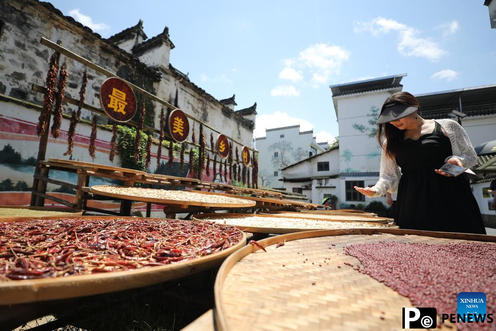 Wuyuan County in E China makes efforts to promote rural tourism
