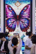 Intellectual property right protection crucial to healthy AI development
