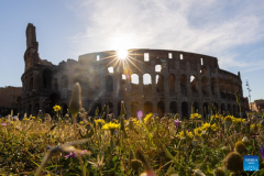 Scenery of Rome, Italy
