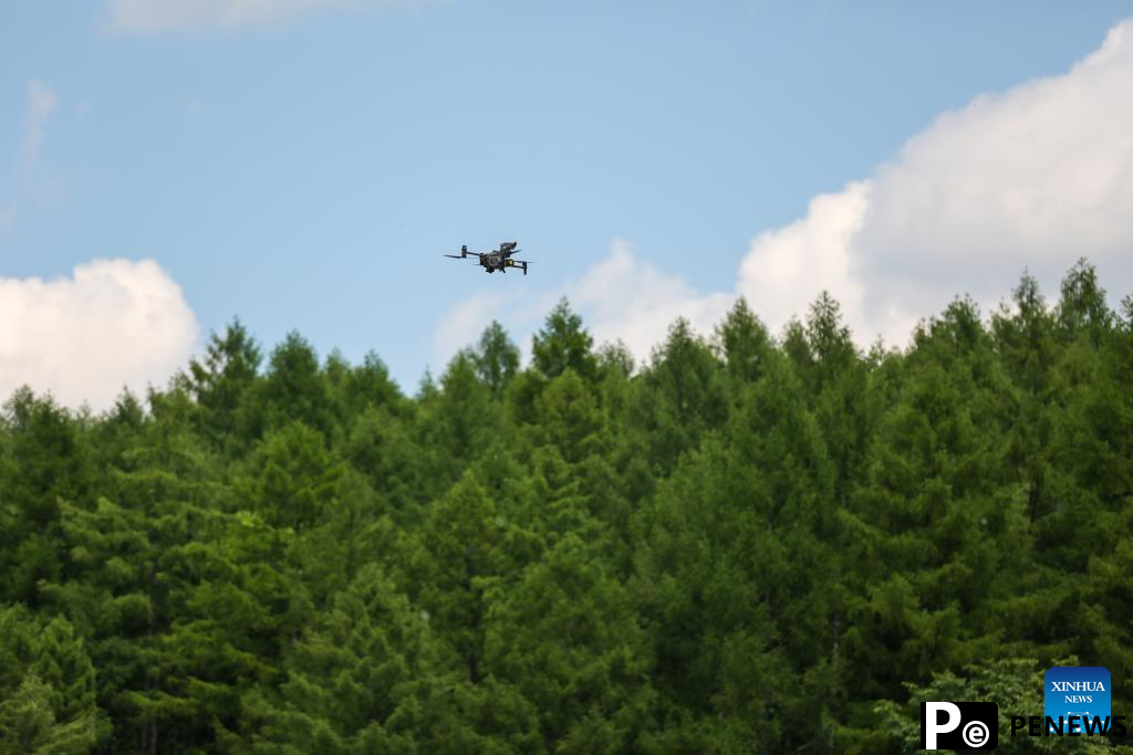Deploying drone for forest patrolling reduces disaster risks in NE China