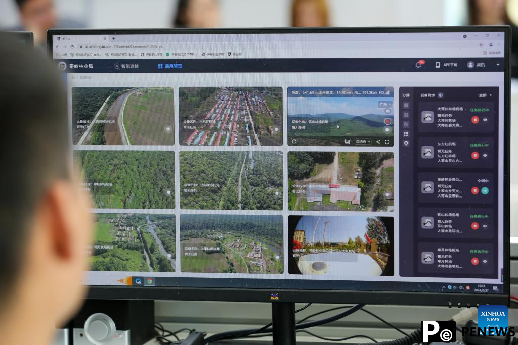 Deploying drone for forest patrolling reduces disaster risks in NE China