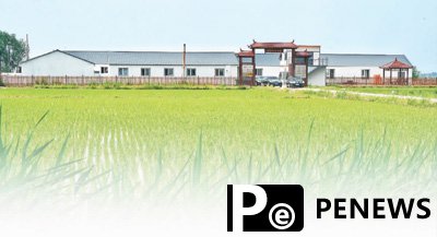 "Science and technology backyards" propel rural revitalization in NE China