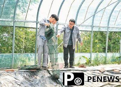 "Science and technology backyards" propel rural revitalization in NE China