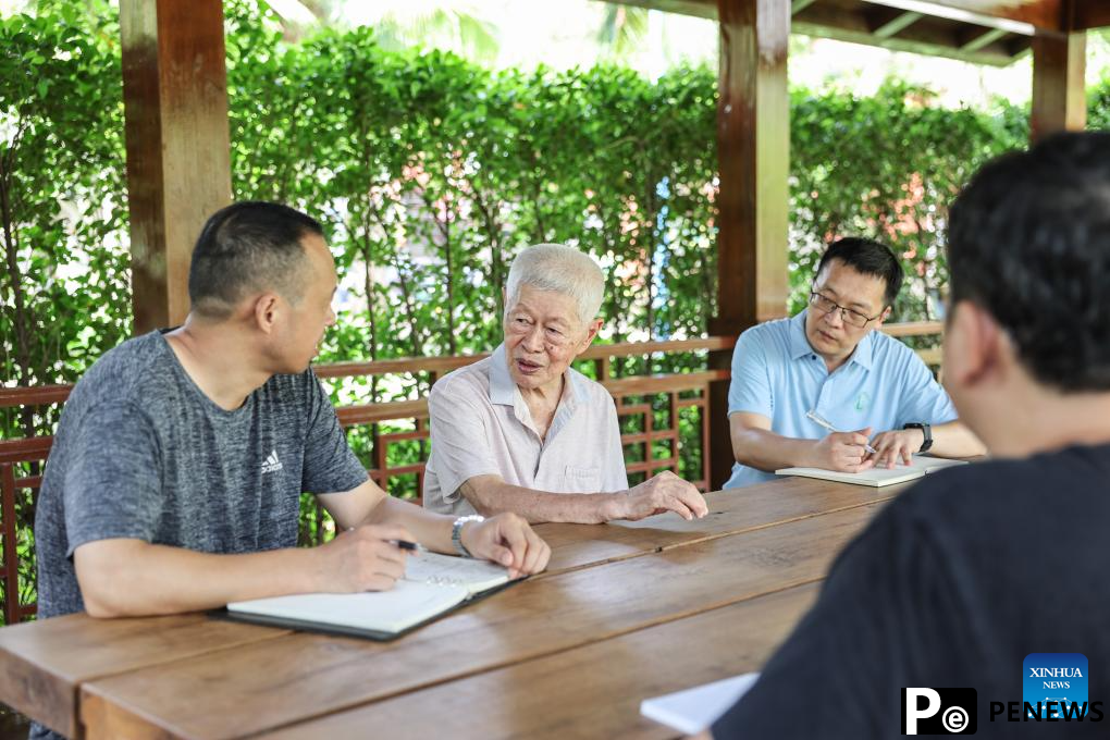 Chinese researchers breed new rubber tree varieties in Hainan