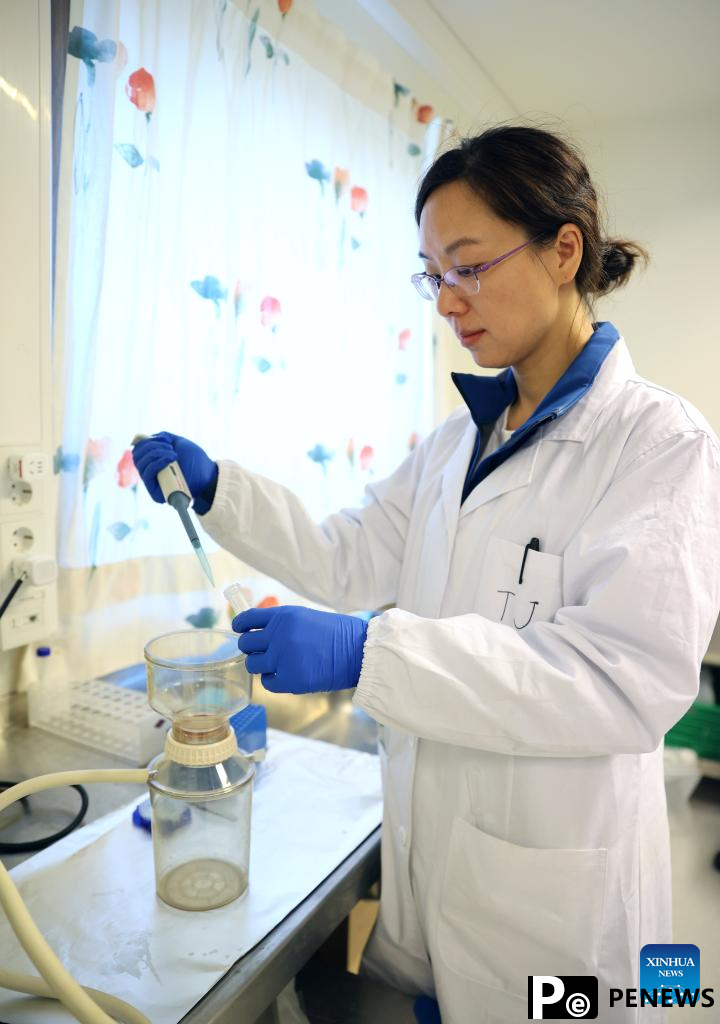 Chinese researchers carry out Arctic expedition at Yellow River Station in Norway