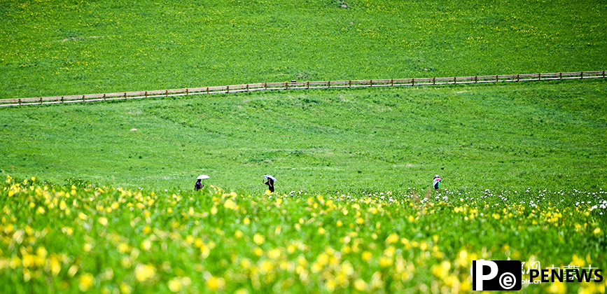 Picturesque summer view in N China’s Ulgai Grassland