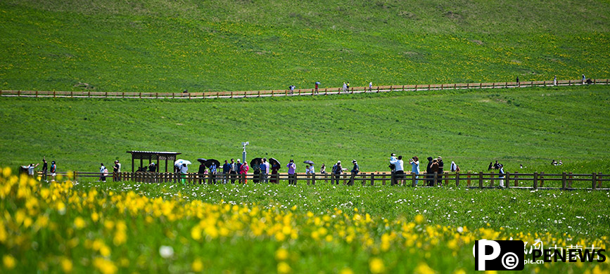 Picturesque summer view in N China’s Ulgai Grassland