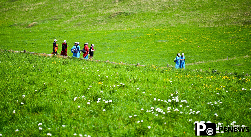 Picturesque summer view in N China’s Ulgai Grassland