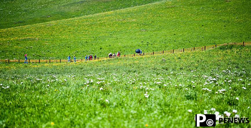 Picturesque summer view in N China’s Ulgai Grassland