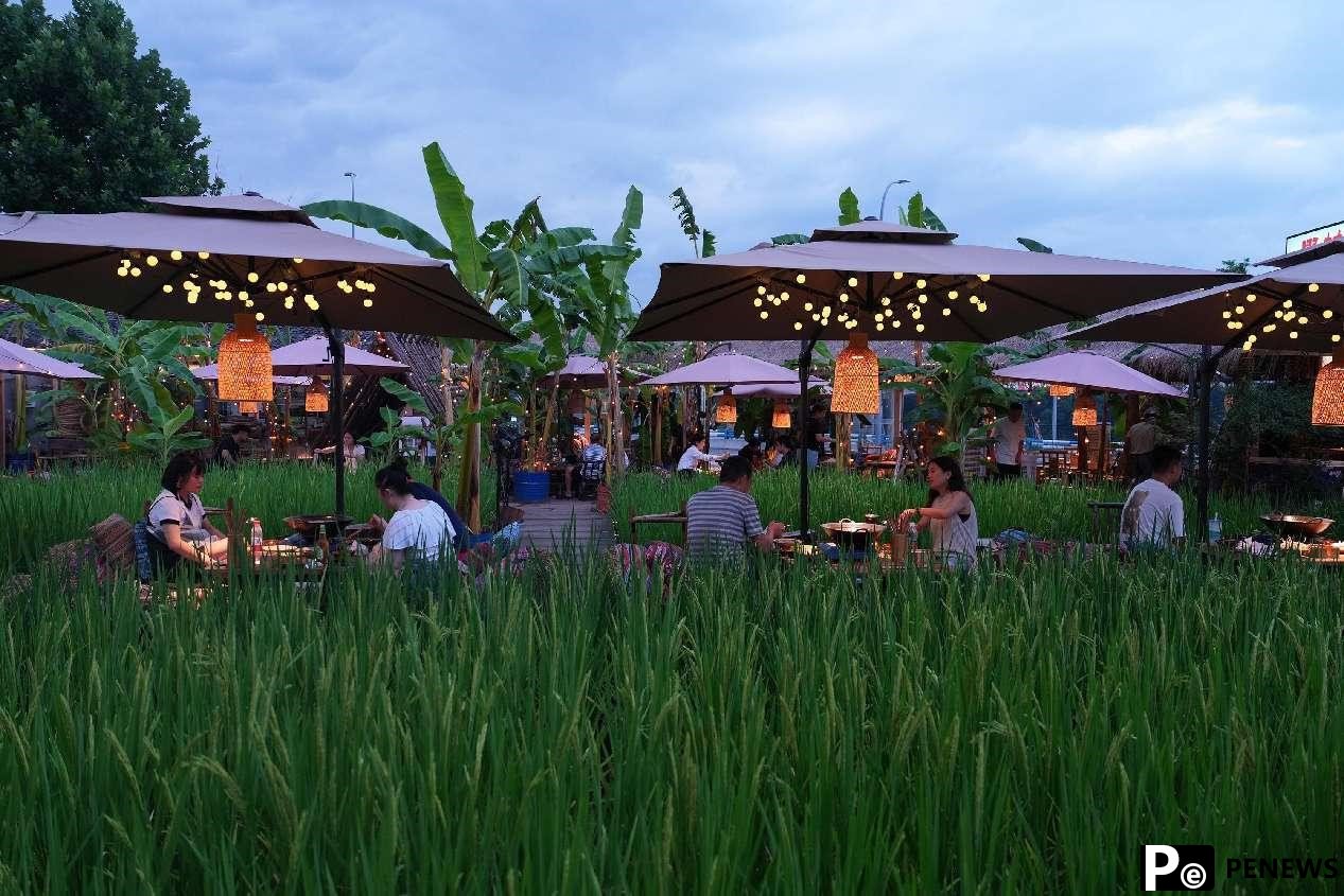 Camping craze sparks new dining trends in China