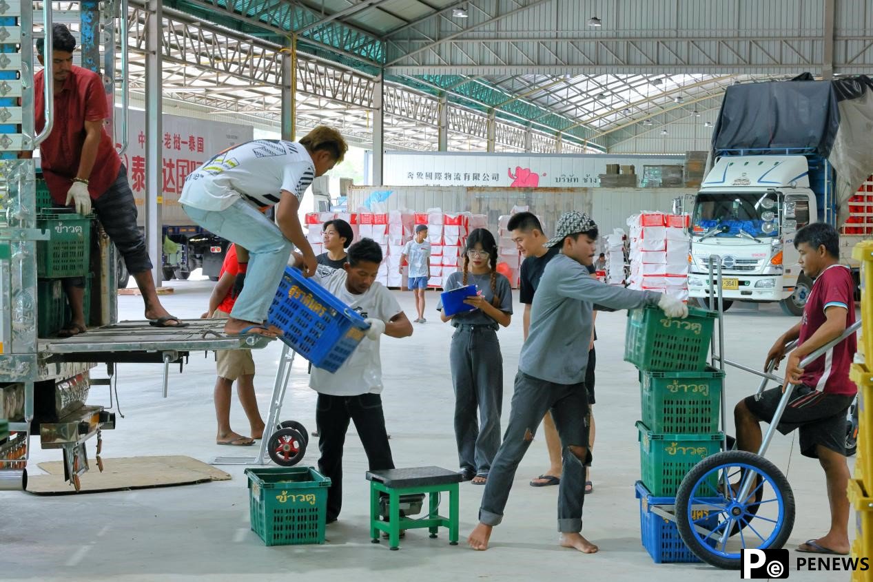 How ASEAN fruits efficiently, conveniently enter China