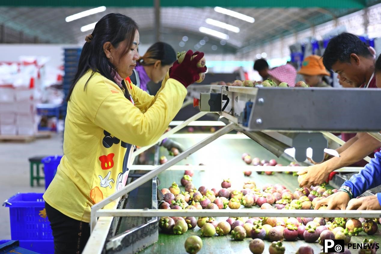 How ASEAN fruits efficiently, conveniently enter China