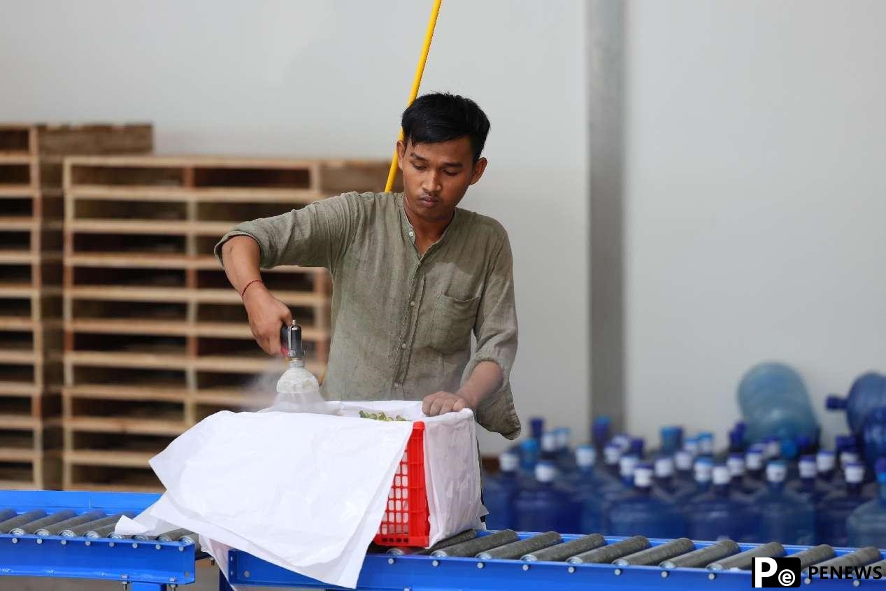 How ASEAN fruits efficiently, conveniently enter China