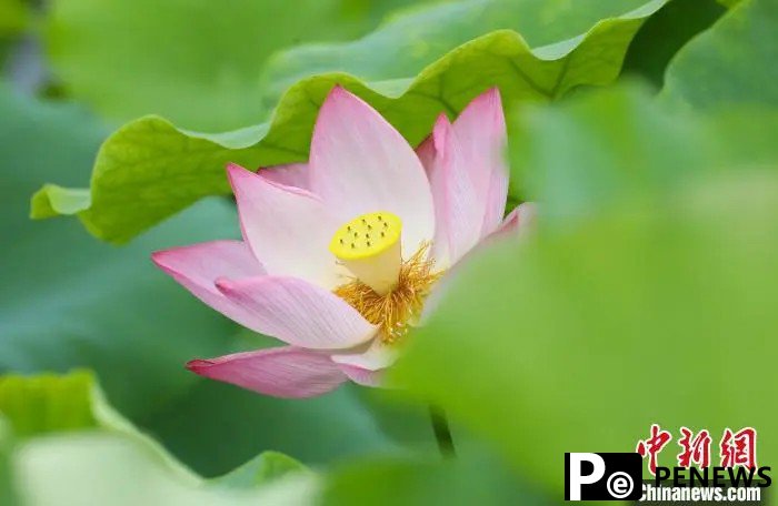 Guangchang county in E China