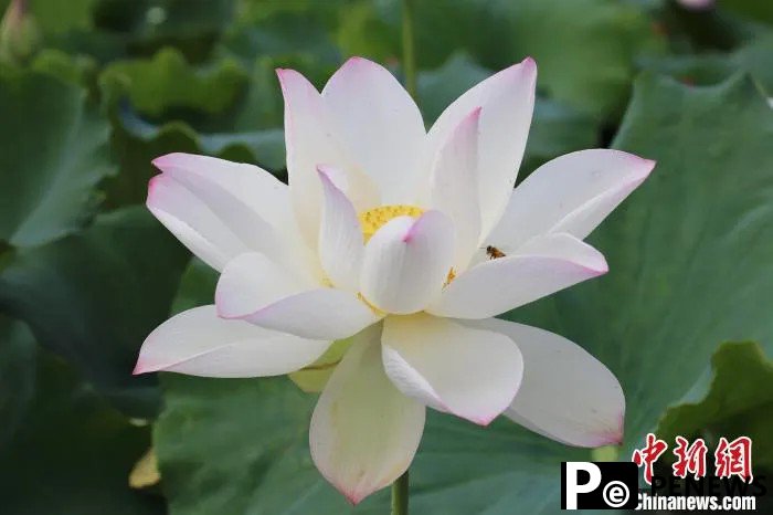 Guangchang county in E China