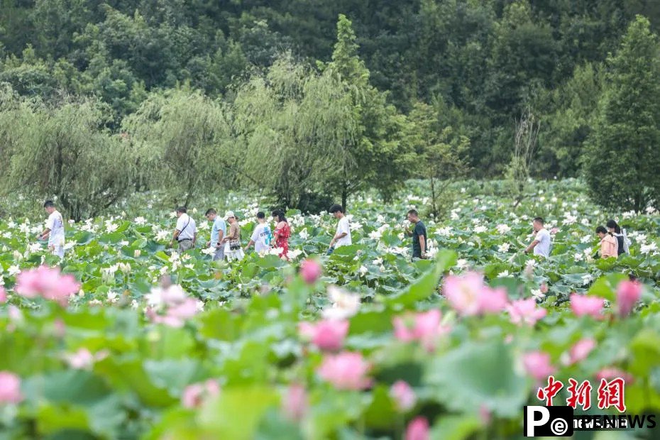 Guangchang county in E China