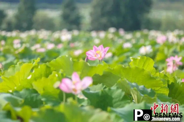 Guangchang county in E China