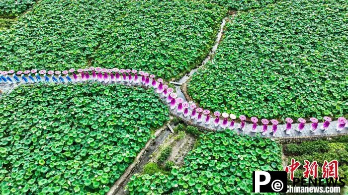 Guangchang county in E China